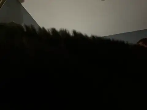 Onesieboy4daddys online show from 11, 4, 2026