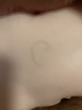 Beijing2000 online show from 8, 11, 2025