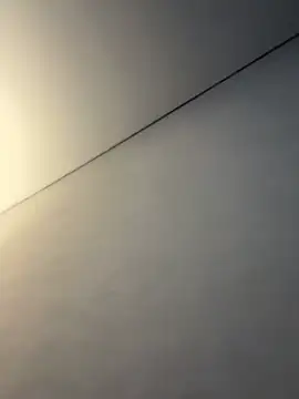 ellie ssexy online show from 13, 1, 2026