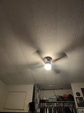 BobbyQ29 online show from 16, 2, 2026