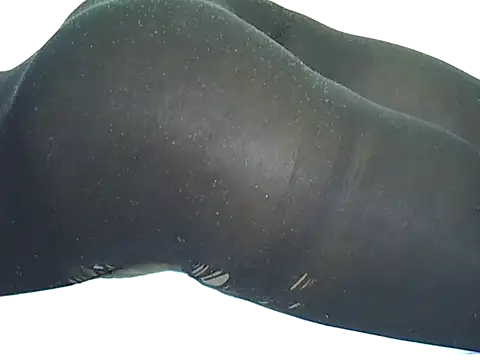 candililie online show from 12, 9, 2025