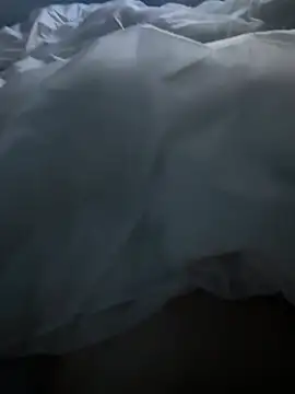 Pongobongo40 online show from 26, 2, 2026