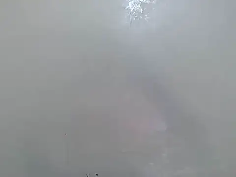 Rasta tattooed online show from 18, 3, 2026