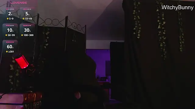 Snapshot of witchybunny chatting on 31, 12, 2024 witchybunny online show from 31, 12, 2024