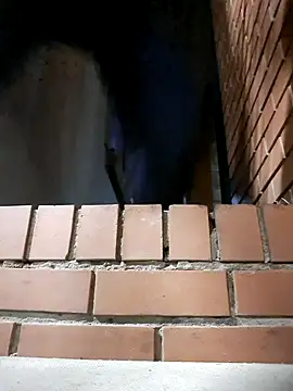 Petrossa online show from 24, 11, 2025