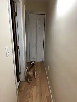 DaddySnowXX online show from 16, 12, 2024