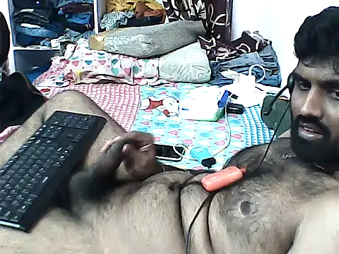 sanik 2428 online show from 31, 10, 2025