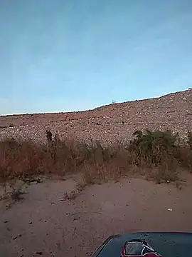 FloppyPickle4u online show from 2, 2, 2025