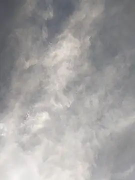 FloppyPickle4u online show from 17, 2, 2025