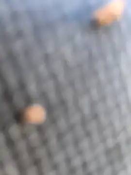 FloppyPickle4u online show from 7, 3, 2026