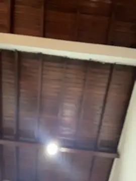 emiss  online show from 2, 12, 2025