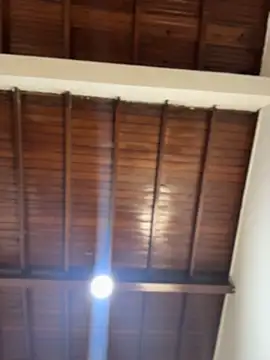 Snapshot of emiss_ chatting on 5, 2, 2026 emiss online show from 5, 2, 2026