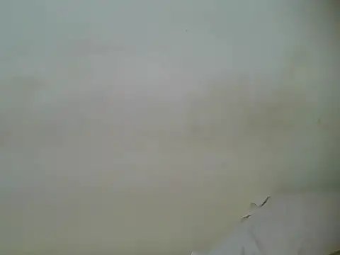 HotJeylee online show from 28, 2, 2025