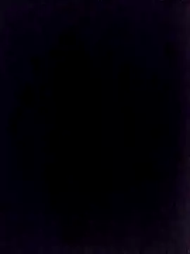 Snapshot of BongChannel chatting on 1, 1, 2025 BongChannel online show from 1, 1, 2025