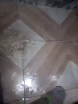 putosafado669 online show from 22, 12, 2025