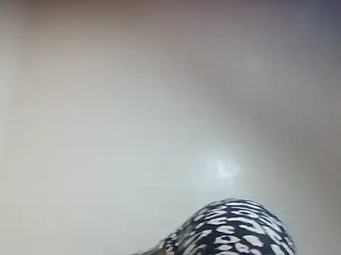 Creamy candy17 online show from 3, 10, 2025