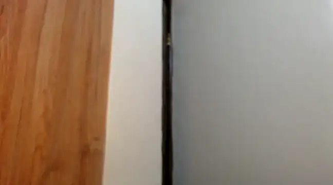 wetpussy ebony online show from 11, 2, 2025