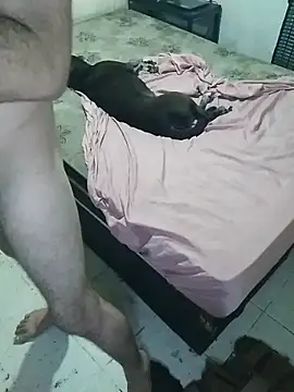 pikalindaxx online show from 20, 2, 2026