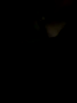 casalinga88 online show from 14, 10, 2025