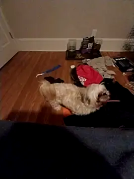 420getsmehorny online show from 16, 12, 2024