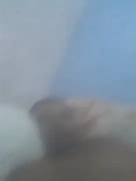 fandangasss online show from 17, 11, 2025