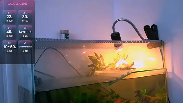 Britney Lynch online show from 21, 4, 2026