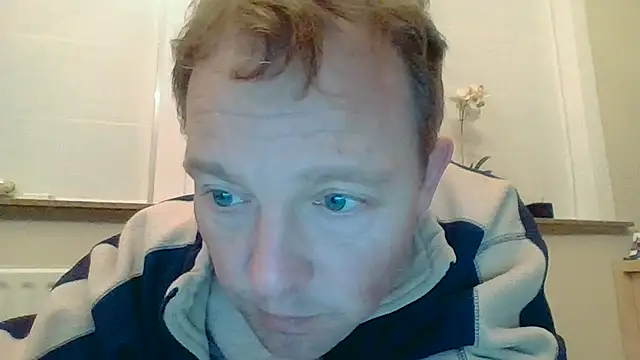 bertolini online show from 17, 2, 2026