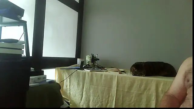 SexWorkerX online show from 15, 11, 2025