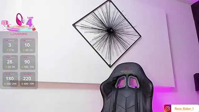 Rose baker  online show from 15, 11, 2025