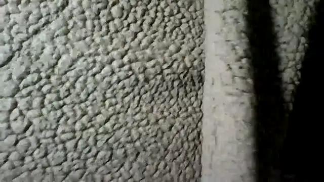 Snapshot of Daszler chatting on 30, 12, 2024 Daszler online show from 30, 12, 2024