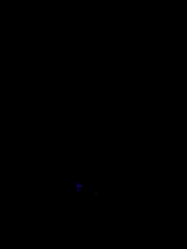 RIP Curl online show from 17, 10, 2025