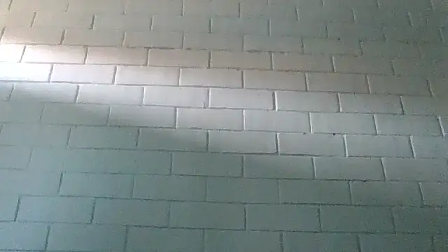 GiveLove1 online show from 19, 2, 2025