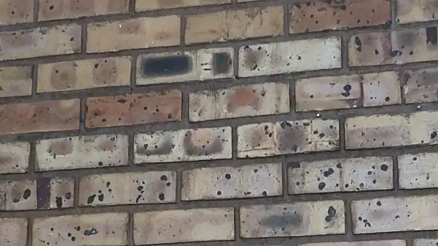 Astoria Moon online show from 24, 2, 2025