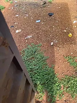 Black-mamba-madingo online show from 4, 4, 2026