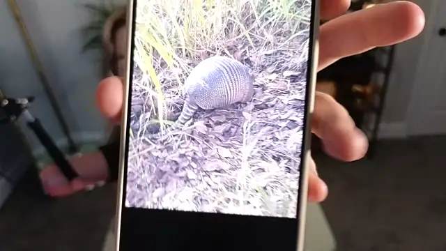 Snapshot of rodeobrii chatting on 17, 11, 2025 rodeobrii online show from 17, 11, 2025