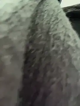 RinaCat online show from 6, 1, 2025