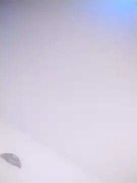 Donostipa online show from 26, 10, 2025