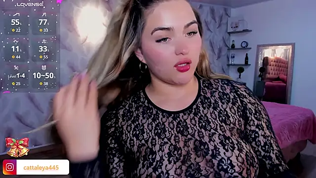 cattaleya    online show from 28, 11, 2025