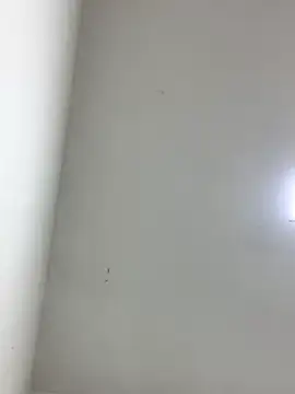 LinnaGardenia online show from 1, 10, 2025