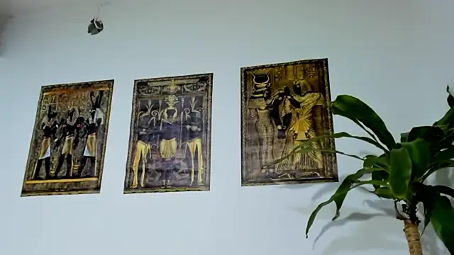 daniellapornx1 online show from 10, 1, 2026