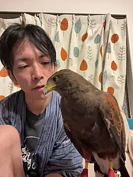 Katakuriko-Denpun online show from 19, 7, 2026