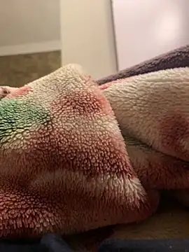 Gengista88 online show from 15, 2, 2026