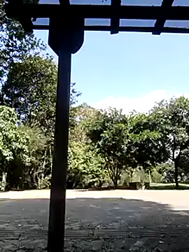 Rob and lizzy online show from 6, 12, 2024