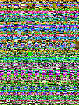 wixssam online show from 4, 4, 2026