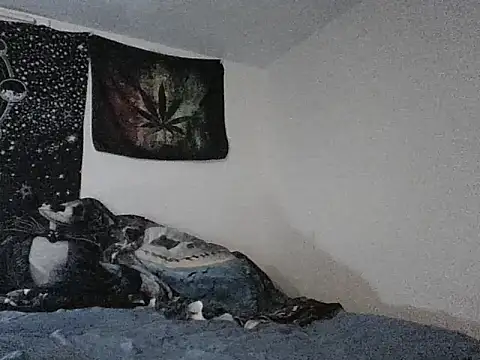 webetokinmo420 online show from 29, 11, 2025