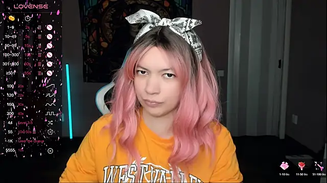 Project hisoka online show from 14, 11, 2025