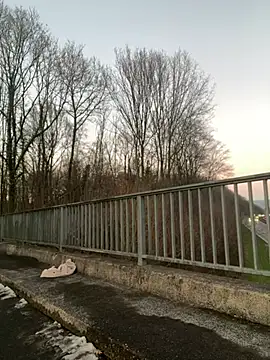 Snapshot of NickyGold_Official chatting on 18, 1, 2025 NickyGold Official online show from 18, 1, 2025