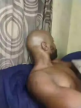 Stallion100 online show from 14, 12, 2024