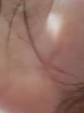 hole davidd online show from 16, 11, 2025