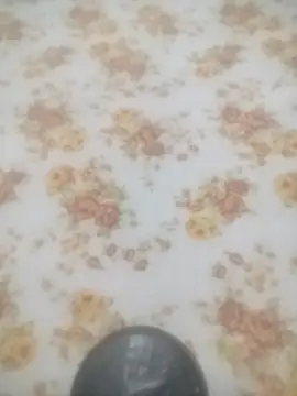 Working- online show from 19, 1, 2026